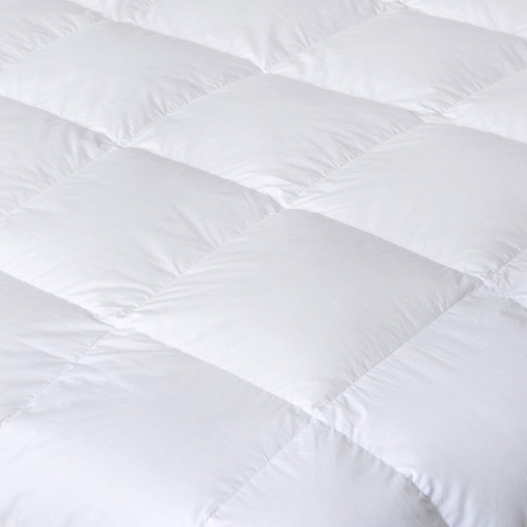 PLUMÓN BLANCO - Image 2